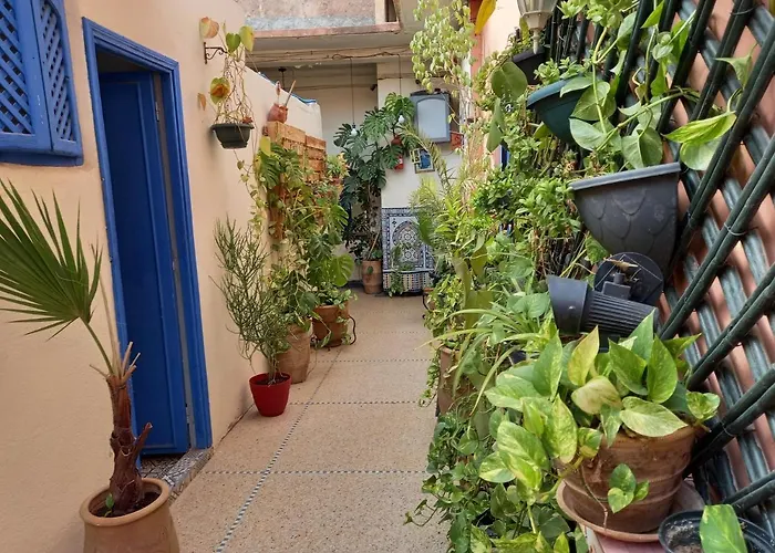 Dar Rmila 4